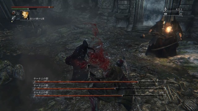 Bloodborne® The Old Hunters Edition_20180826175128.jpg