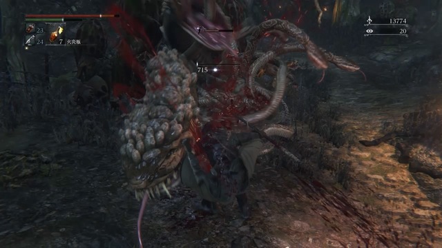 Bloodborne® The Old Hunters Edition_20180826175507.jpg