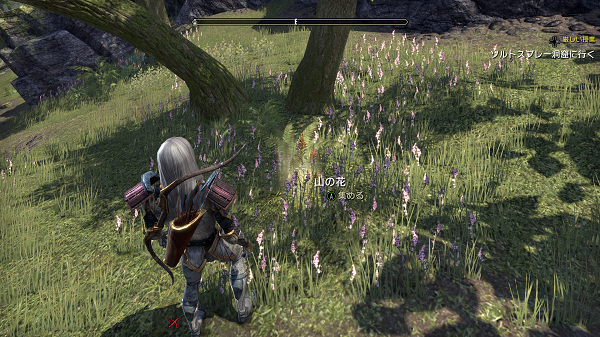 Elder Scrolls Online Screenshot 2020.07.12 - 22.24.06.82.png
