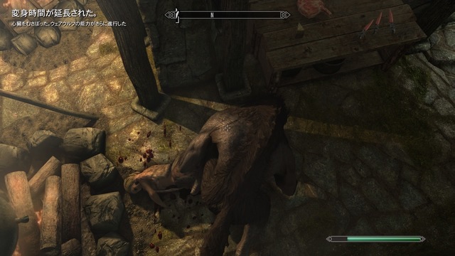 Skyrim_20190118110309.jpg