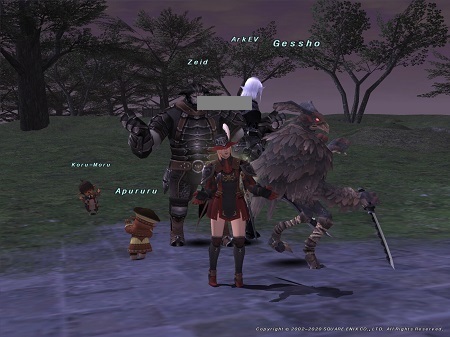 ff11_02.jpg
